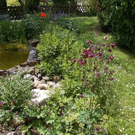 Haus Wiesengrund - Hundefreundlich Holiday home